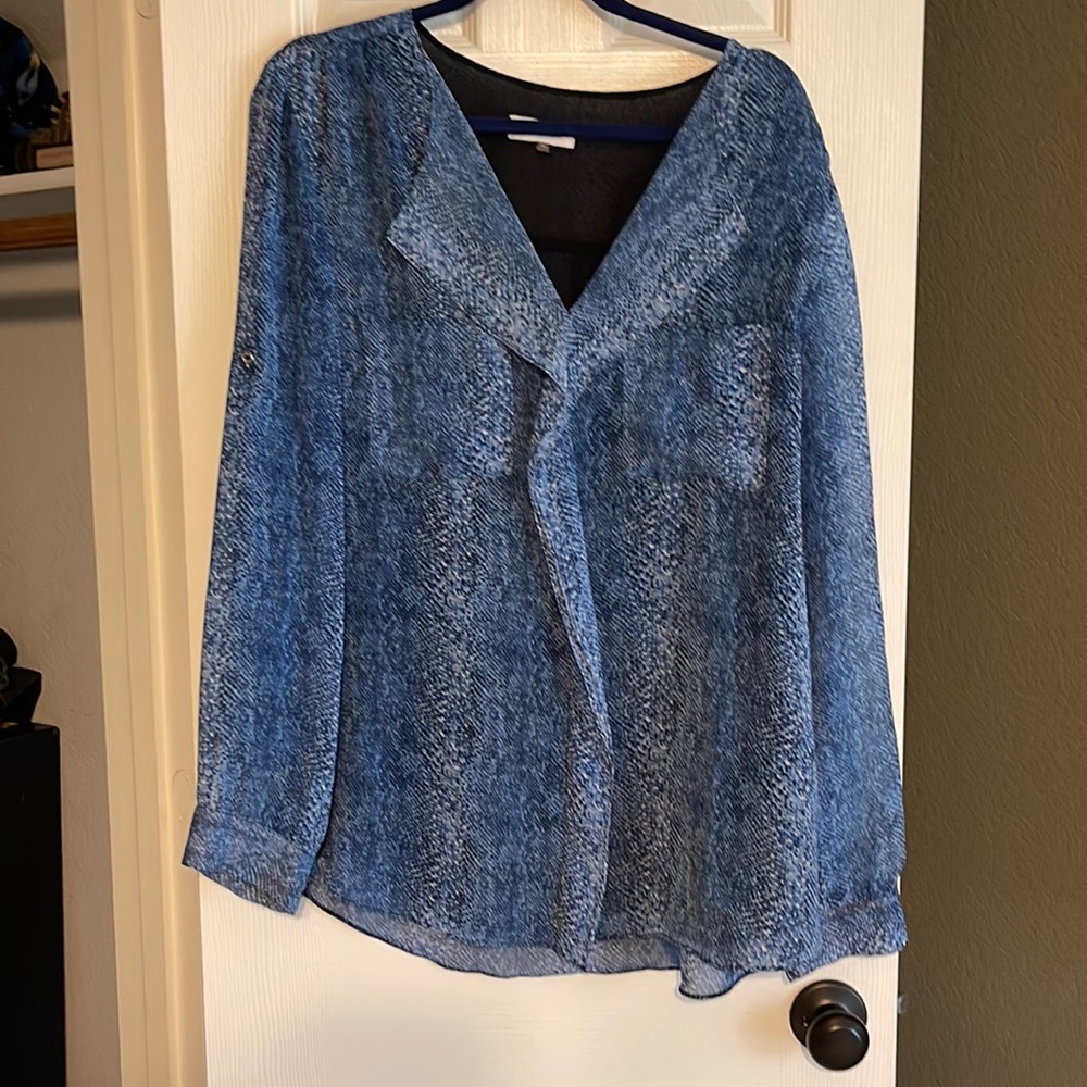 Blue Blouse